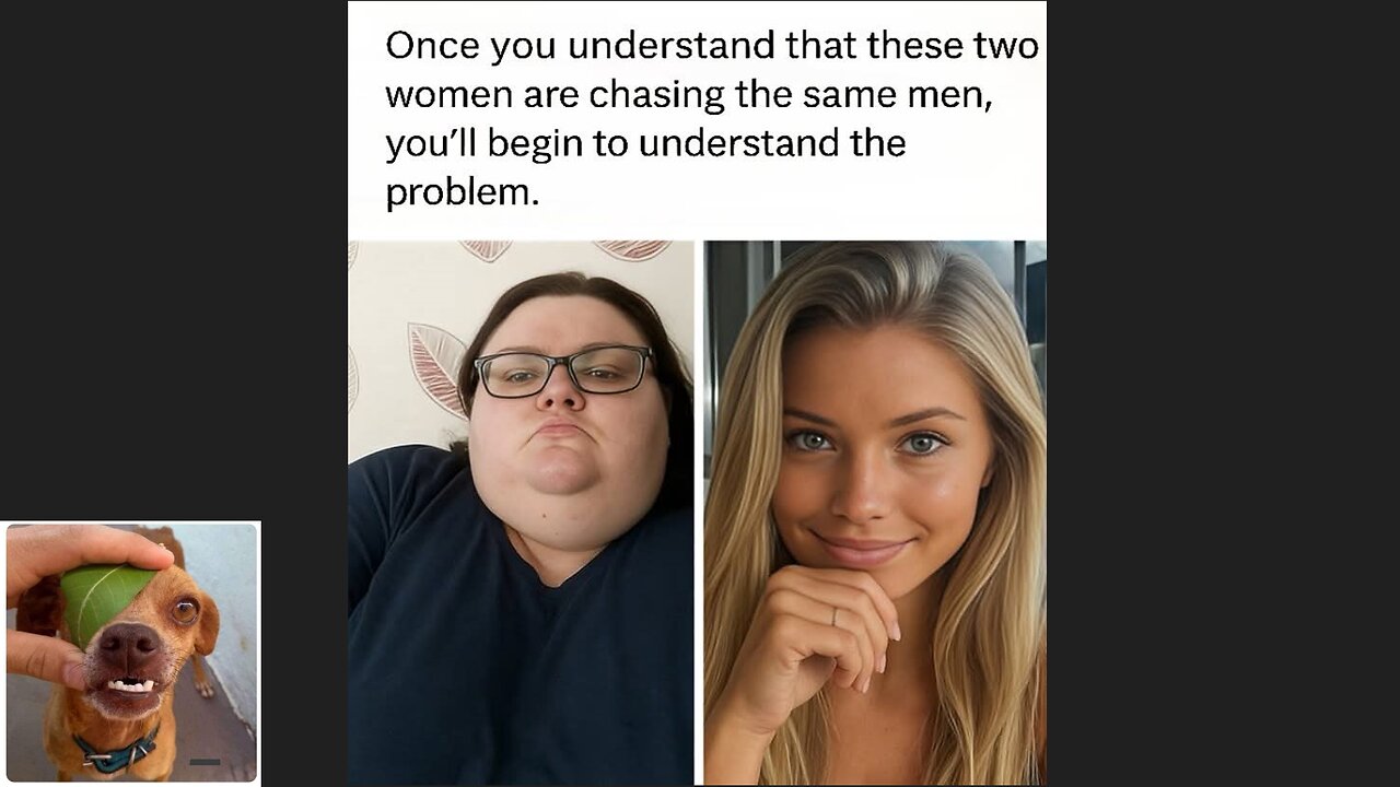 Memes That Will 99.0296% Make You Laugh. (e520)