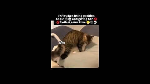 man cat