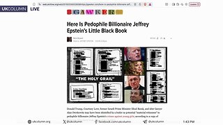 The Billionaire, the Black Book, and the Battle for Gawker | UK Column News