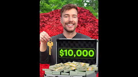 Mr beast