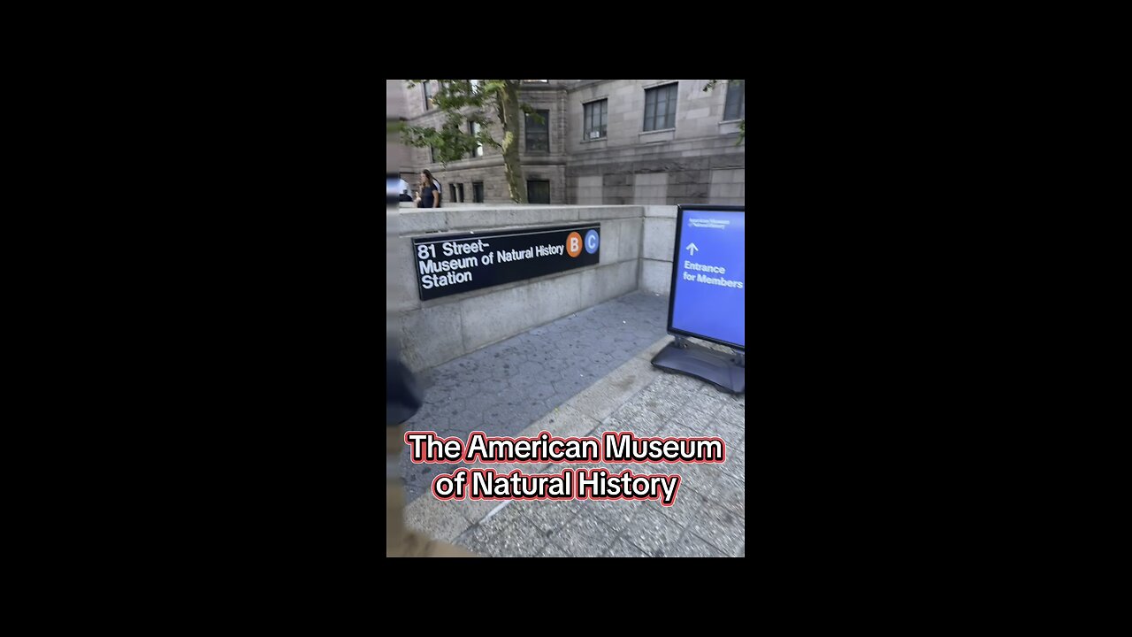 The Museum of Natural History