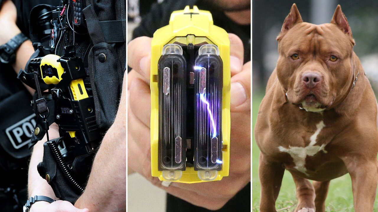 Police Use of Force - Conclusion