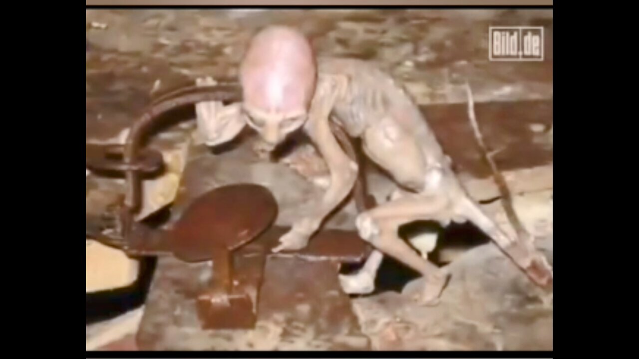 You Better Not Talk About The Reptilians.