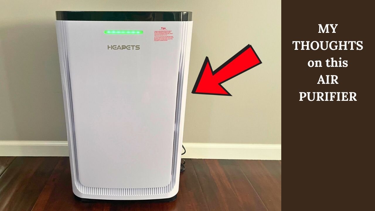 Reasons Why I Love this Air Purifier for Pets!