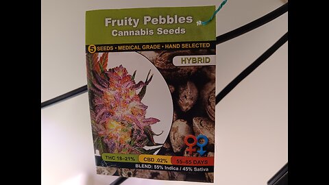 Fruity pebbles Photo period