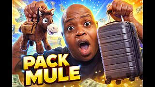 JK Distro’s Pack Mule Review 🐴 Pressure or Pass?