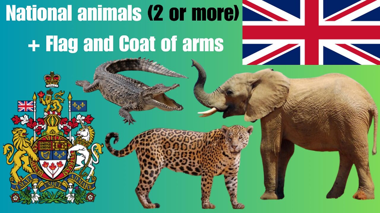 Countries with 2 or more national animals + Flags and Emlbems!