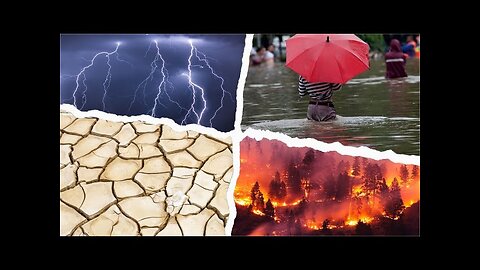 Let's build a movement for reporting on the environment