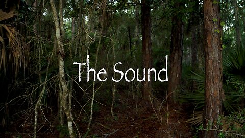 The Sound