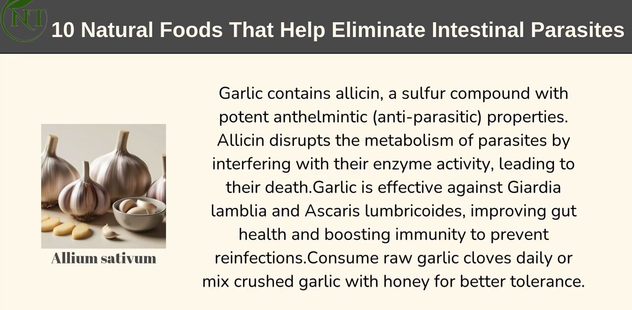 10 Foods That Instantly Kill Parasites | Natural Remedies for a Healthy Gut