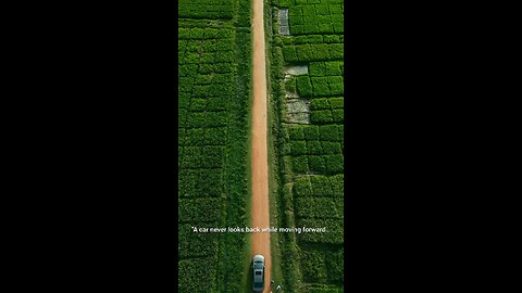 Driving Through Nature’s Carpet 🌿 | So Satisfying!"