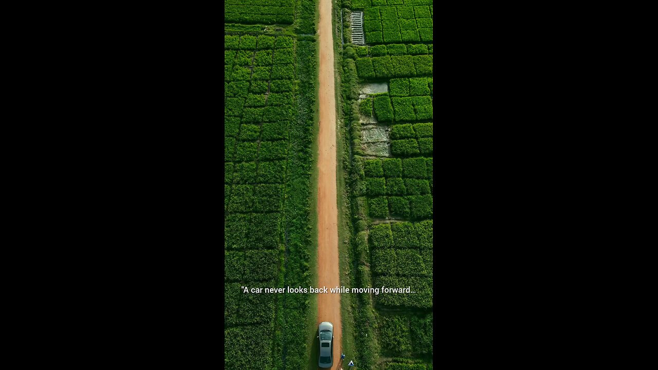 Driving Through Nature’s Carpet 🌿 | So Satisfying!"