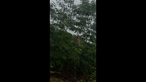 Long Drives Be Like 🤩🤘