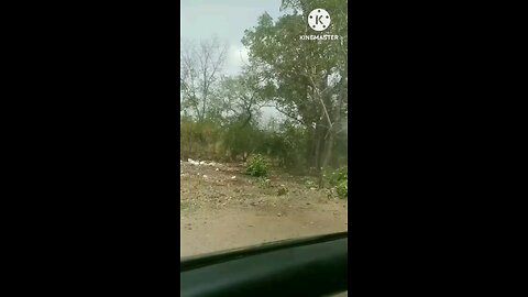 आवाज