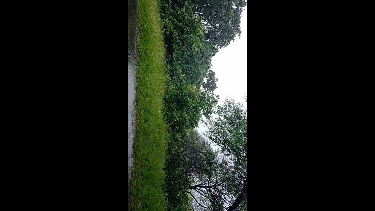 🌧️🌧️ Raiiiinnnnnnyyyyy 🌧️🌧️