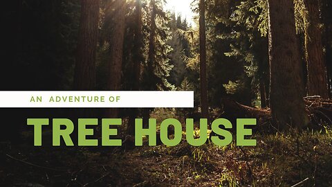 "Treehouses Through Time: A Hidden History Among the Branches"