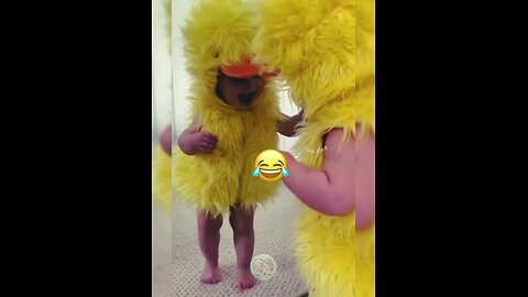 baby's funny video 🤣 |#funny