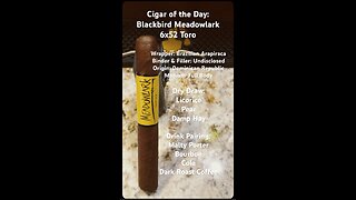 Meadowlark (Blackbird) 6x52 Toro #Shorts #CigarOfTheDay #Short #YTShorts #Review