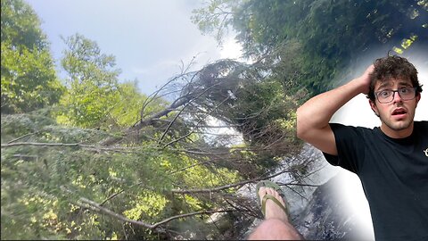 Thrown into A Tree by Raging River!