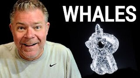 Whales Keep Buying THIS Meme Coin 🐋 | Organic, Grassroots, Unstoppable!