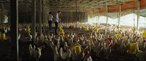 Antybiotykooporność: globalne zagrożenie (2018) film dokumentalny LEKTOR PL