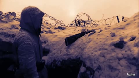 When Two Tigers Faced Swarms of T-34s Hans Bölter's Epic Fight for Survival near Leningrad