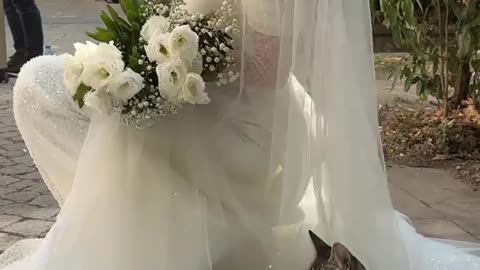 🤣💍 It’s Not Your Wedding Anymore... Wait For It! | FunFM