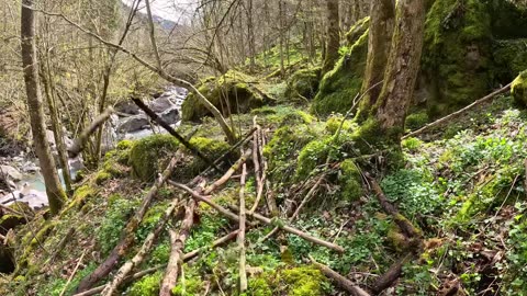 2 Days SOLO Bushcraft - CATCH & COOK at my Survival Shelter - Hot Stone Cooking