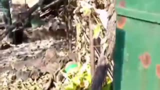 Ukraine war combat Footage june 23 2025