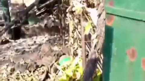 Ukraine war combat Footage june 23 2025