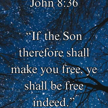John 8:36