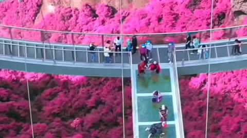 Peaceful Outdoor Views 🌳 Stunning Nature Scenes 🐦🌺 Amazing Nature Views 🍃 #Shorts