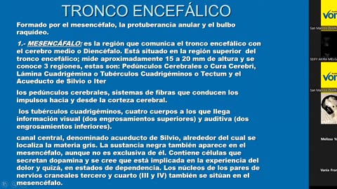 VONEX SEMIANUAL 2025 | Semana 16 | Anatomía