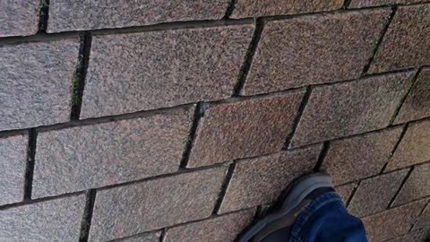 Lübeck Scientology "Terror-Mobbing" [Strafbare stil]