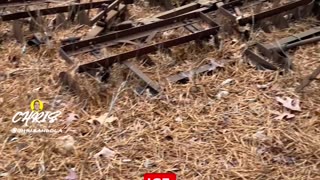 WHY DO YOU THINK THIS PLOW IS IN THE MIDDLE OF THE WOODS?