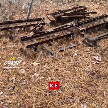 WHY DO YOU THINK THIS PLOW IS IN THE MIDDLE OF THE WOODS?
