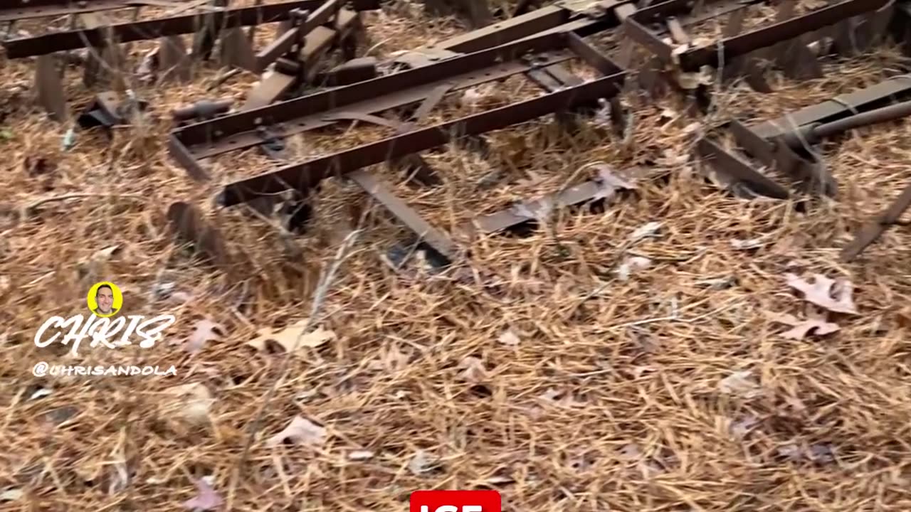 WHY DO YOU THINK THIS PLOW IS IN THE MIDDLE OF THE WOODS?