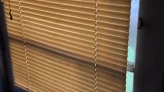 😂🤣 Hello Big Guy! | FunFM