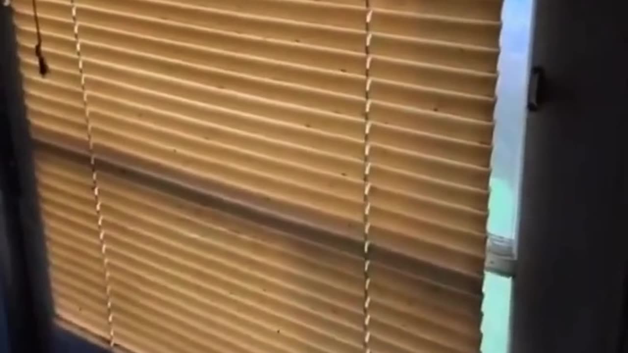 😂🤣 Hello Big Guy! | FunFM