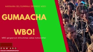 Gabaasa Gumaacha ONM-ABO Sadaasa 20-2025 itti dhiyaadhaa!