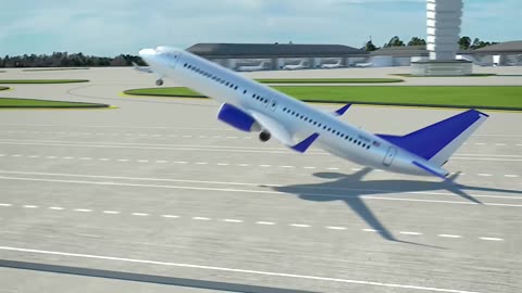 Emergency Plane Landing 😮 (explained)