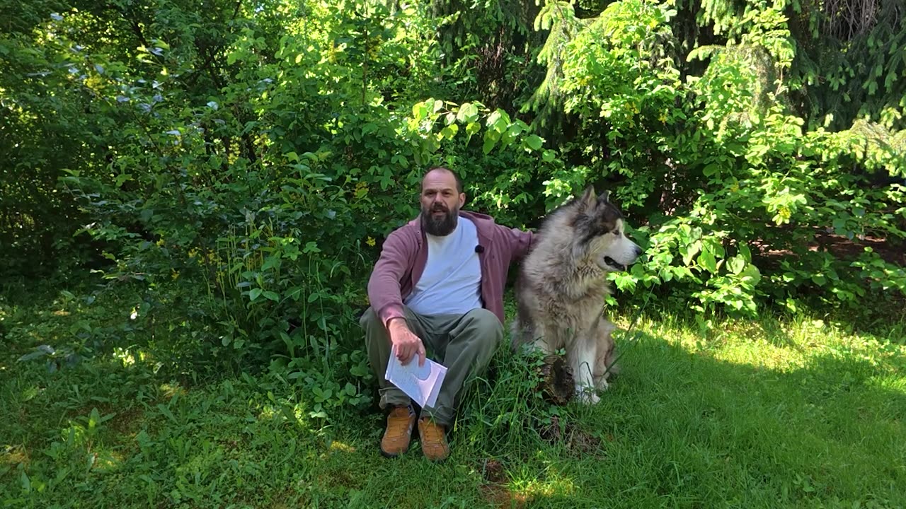 Разделянето на Украйна започна. Тръмп и Путин ще се срещнат в Саудитска арабия