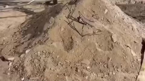 “An IOF (Jew) soldier shared a video on TikTok while making fun of the suffering of starved Palestinians in Gaza.”
