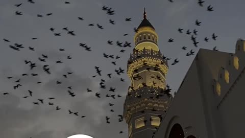 Какая разница кто сильней и богаче главное счастливый ты человек!
