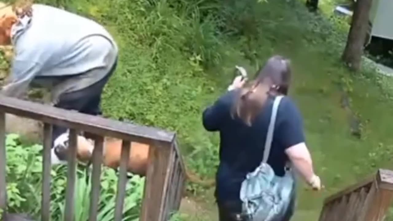 Funny clip
