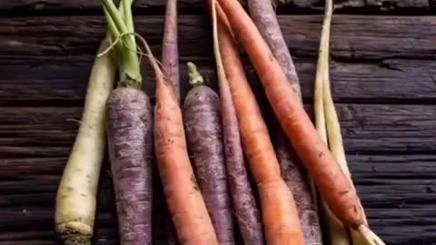 How Plants Looked Like Before GMOs