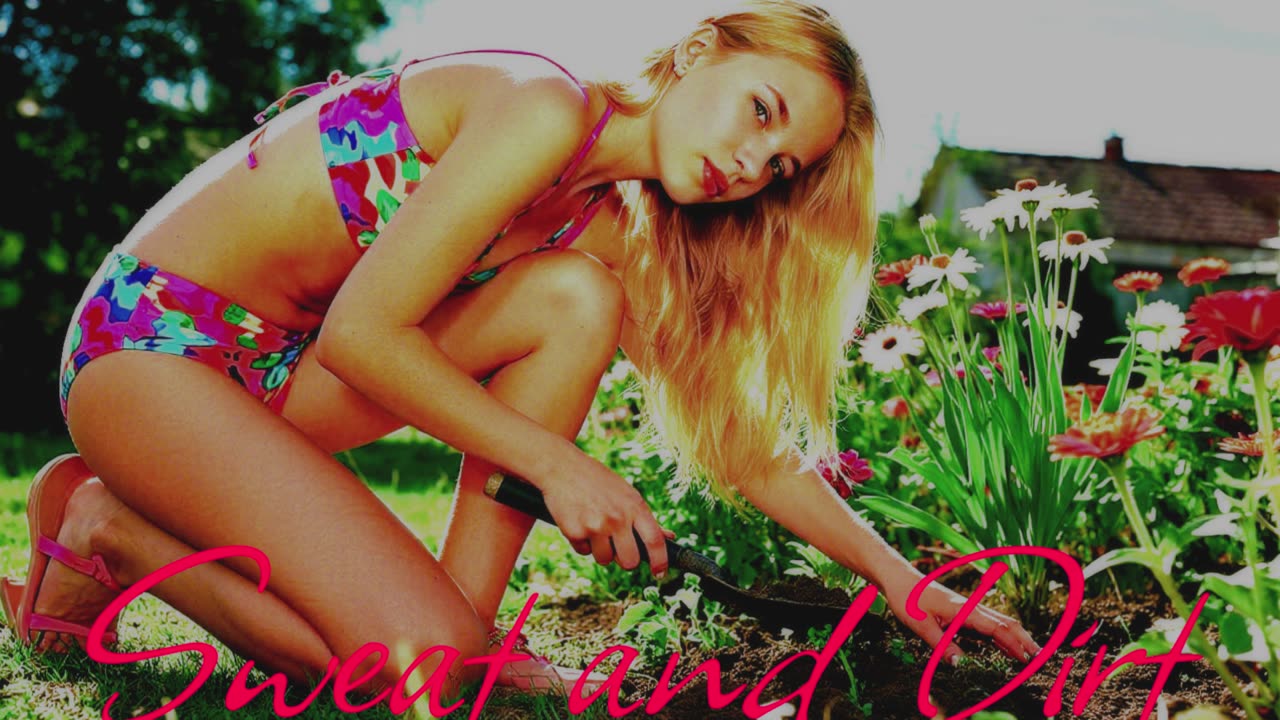 POP MUSIC. Song Sweat and Dirt.