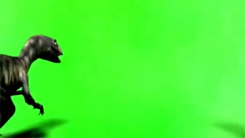 green screen 40+essential effects no copyright video free HD videos-No Copyright
