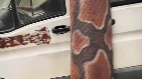 💡✨ A Clever Hack You'll Wish You Knew Sooner | LifeHacksDaily