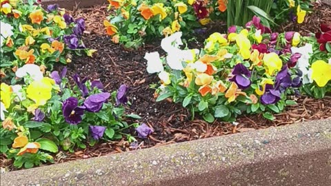 Spring colors.